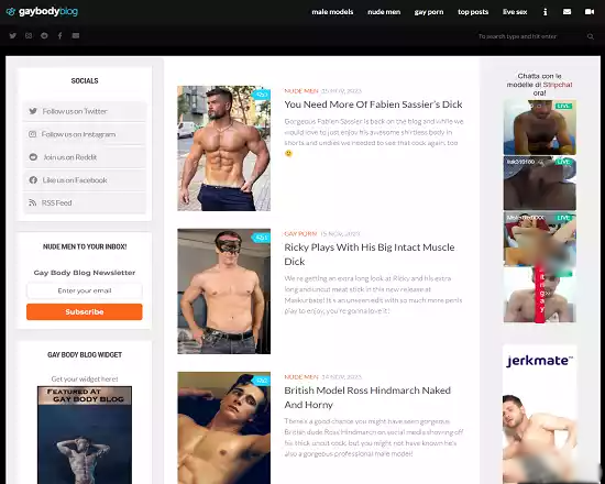 About Gay Body Blog